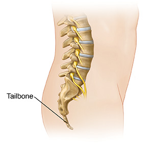 Tailbone (Coccyx) Fracture - Sterling Care - In-Home Care 